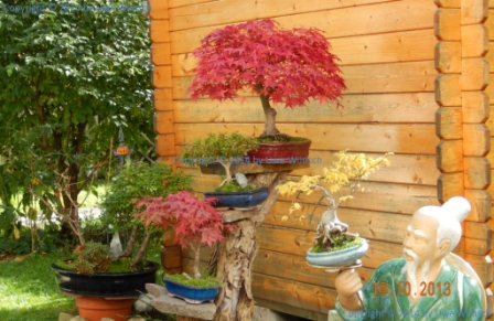 meine Bonsaiecke im Herbst